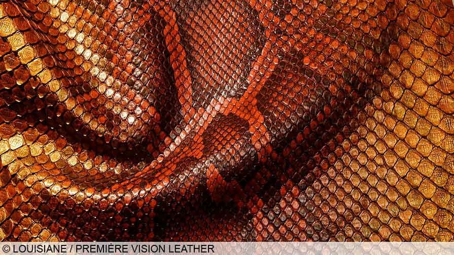 Explosión de ideas en París! PREMIÈRE VISION 2020, fuente de inspiración para calzados y manufacturas