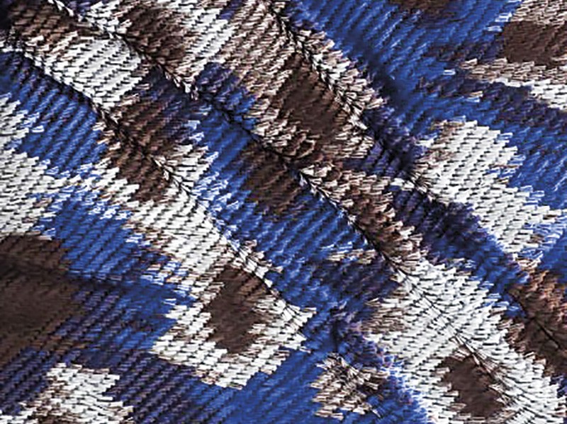 Materiales Otoño/Invierno 2026