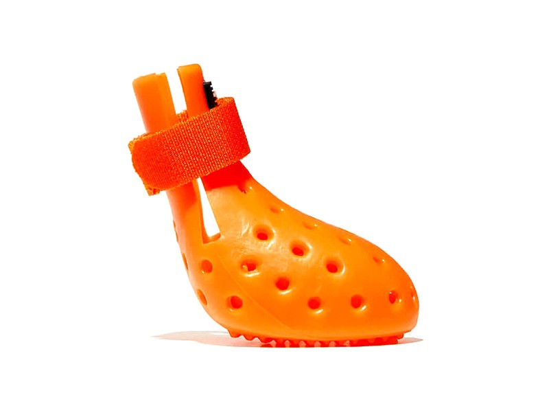 Shoes for dogs: CROCS' latest invention