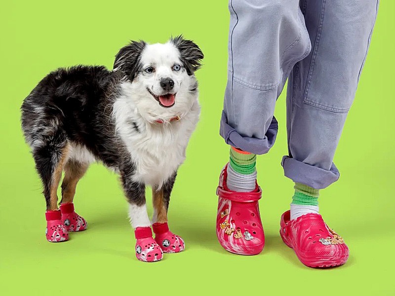 Shoes for dogs: CROCS' latest invention