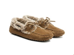 Autumn Winter Notes for 2026