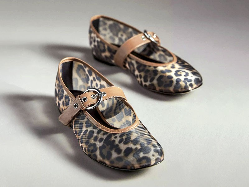 Animal-print ballerinas focus on surface and contrast