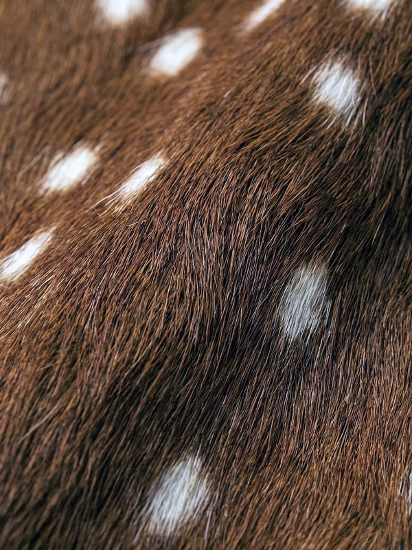 Animal prints move into boots and utility details