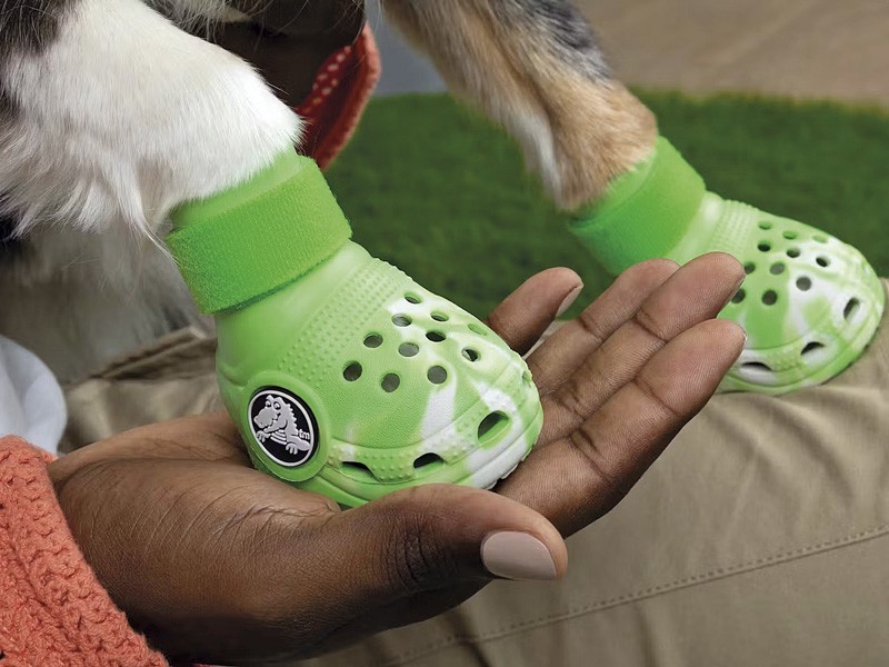 Shoes for dogs: CROCS' latest invention