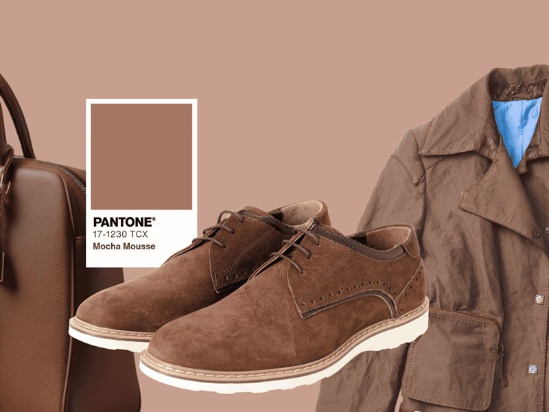 El color del año 2025: El delicioso MOCHA MOUSSE de Pantone