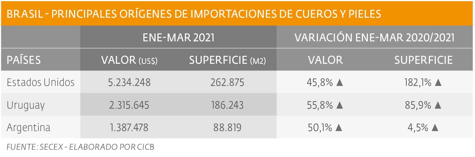 Importante incremento en importaciones de pieles y cueros