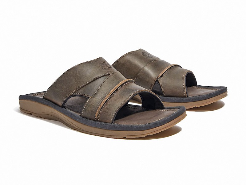 Slides