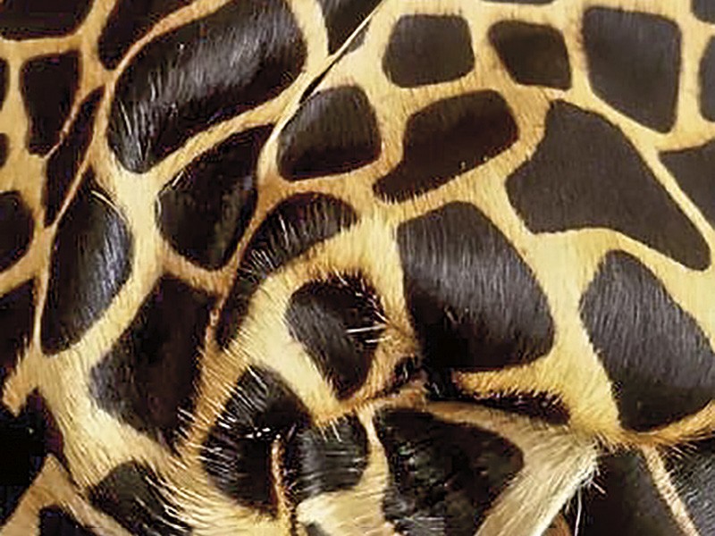 Materials Fall/Winter 2026