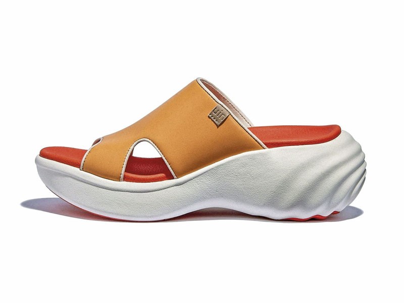 Slides