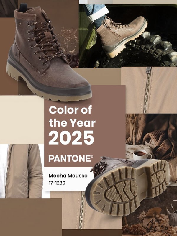 El color del año 2025: El delicioso MOCHA MOUSSE de Pantone