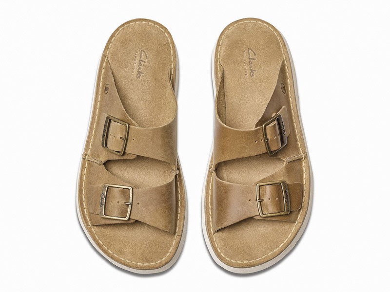 Slides