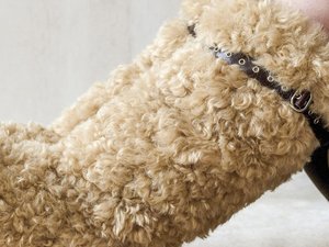 TENDENCIAS OTOÑO INVIENRO 2026 MATERRIALES PELOS PIELES SERMA 156epingler-brown-fofo-boots-long-2-(1).jpg