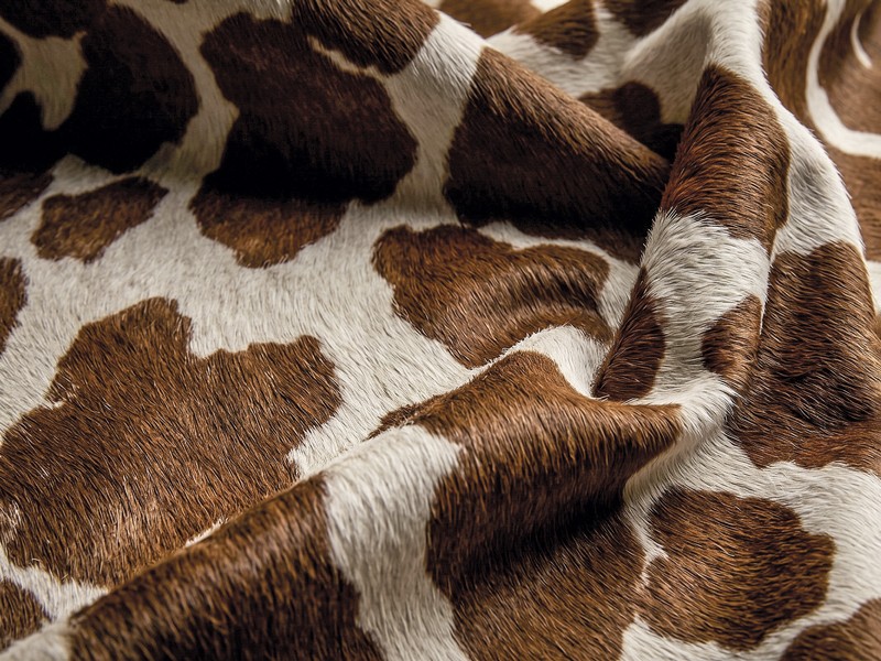Animal print coordinates women's footwear collections
