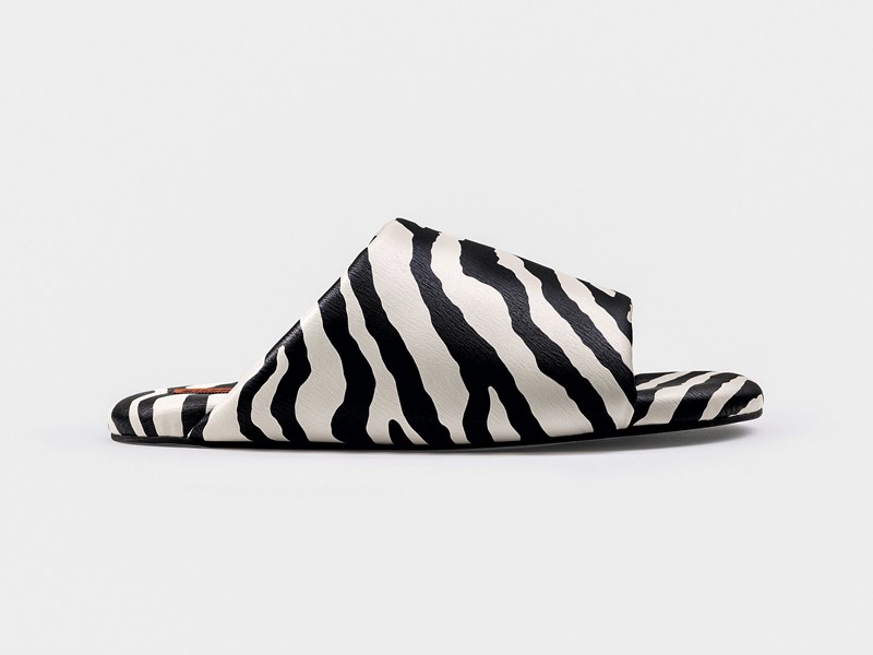 Chanclas